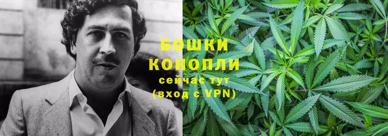 Каннабис Bruce Banner  Гагарин 